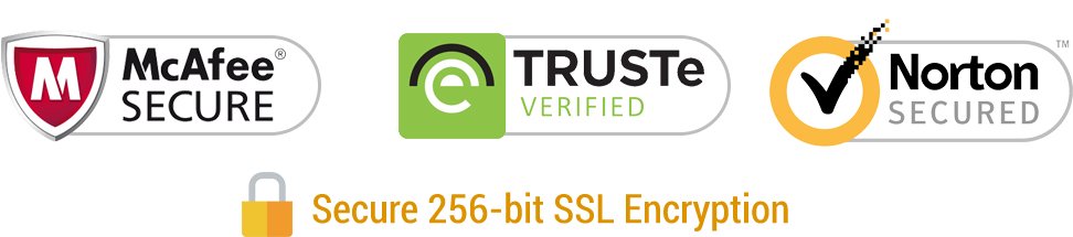 Secure website hosting and website maintenance security logos